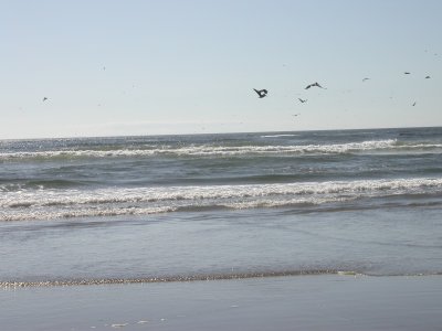 DSCN6670-w.JPG