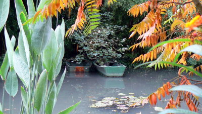 Monet's Garden - Giverny   France