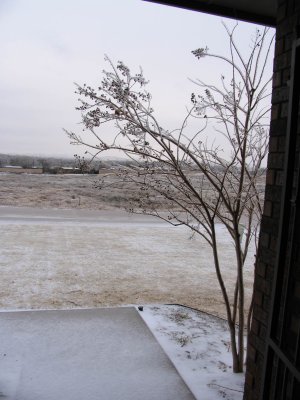 IMG_0615_Resized.JPG