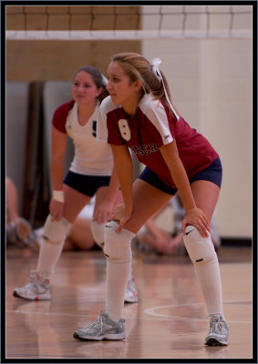@ Algonquin - 019