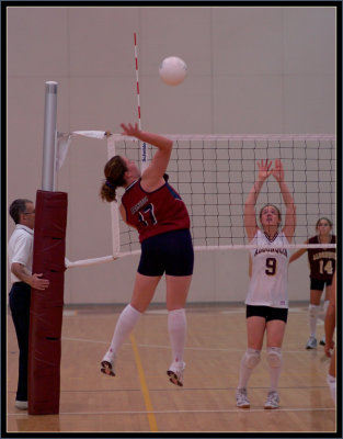 @ Algonquin - 040