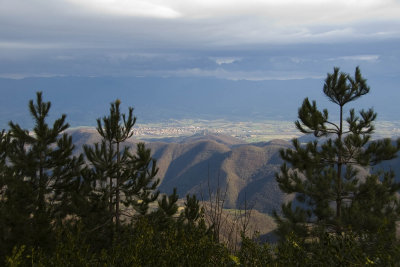 the view