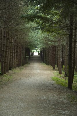 the path up to Montesenario
