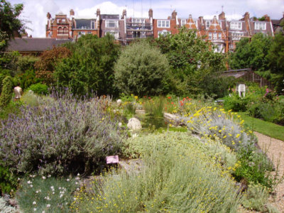 Chelsea Physic Garden