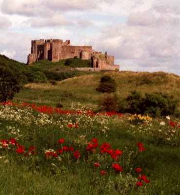 Bamburgh Castle (11)