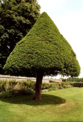 Garden, Hardwick Hall