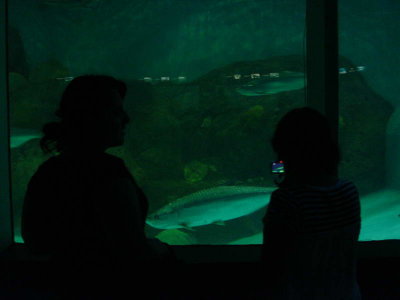g6/49/586449/3/82480578.W9ar9Sb4.jpg