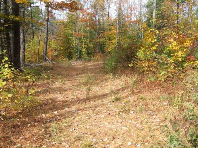 northwoods