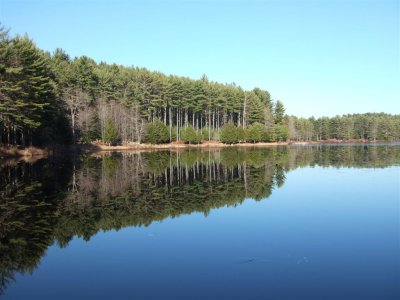 meadowlake2