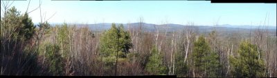 saddleback