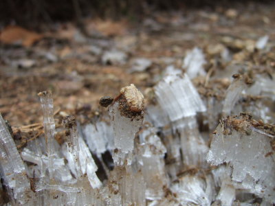 ice columns close up (macro)