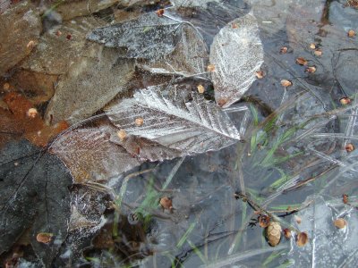 ice photos
