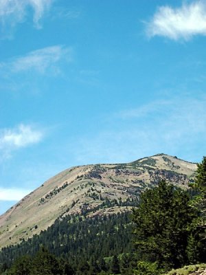179283064-L-1.jpg