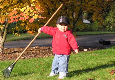 more raking.jpg