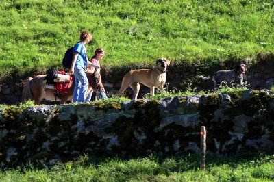 mit Pony und Hunden...