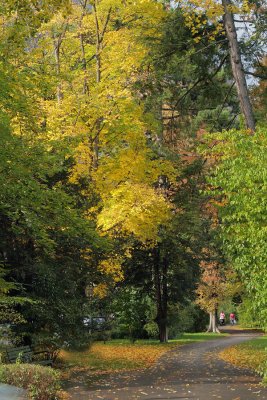 Glarus