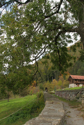 auf Ennetrsligen (Ennenda)