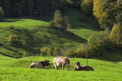Glarus