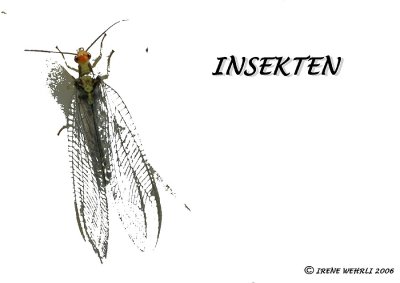  Insekten