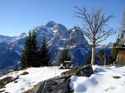 Blick zum Glrnischmassiv