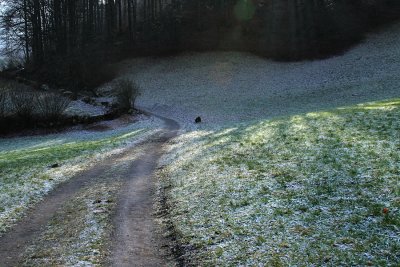 Glarus-Mitldi