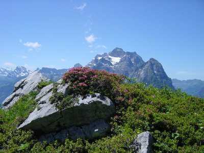 Blick zum Glrnischmassiv