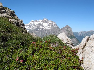 Aeugsten-Hchlenstock