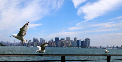 Flying NYC