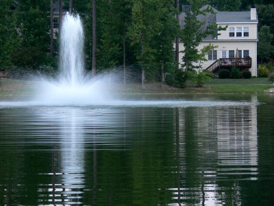 Common scene