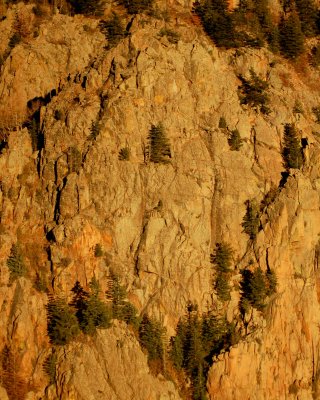 Sandia mountains 2006_1019Image0028.jpg