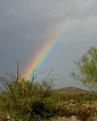 Arizona trip 2007