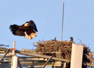 Mar. 4 Watching Dad (?)Coming in for a Landing