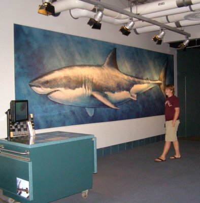 Aquarium in Monterey.