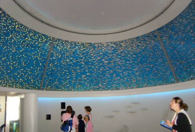 A wall of fish under a domed ceiling