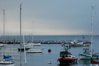 Monterey and Carmel - June 2006
