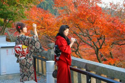 KYOTO IN THE FALL