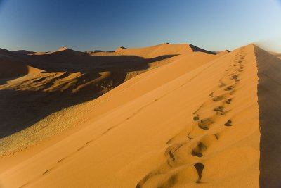 NAMIBIA : NAMIB DESERT