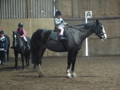 Becky's Riding Lessons