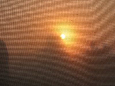 IMG_0993.JPG