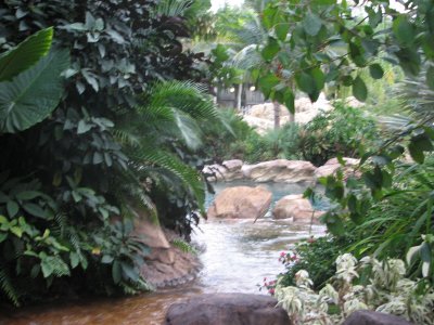 Discovery Cove