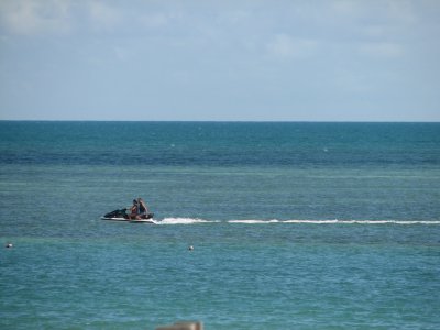 IMG_1768.JPG