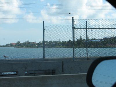 IMG_1773.JPG