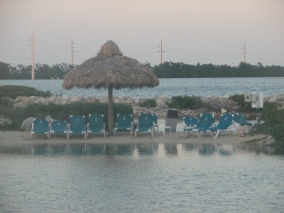 IMG_1784.JPG