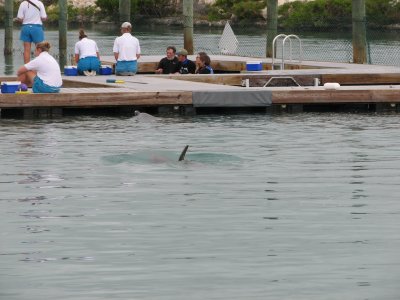 IMG_1794.JPG
