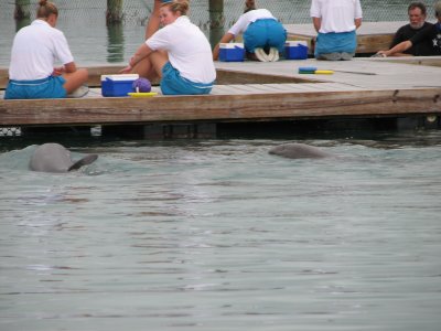 IMG_1795.JPG