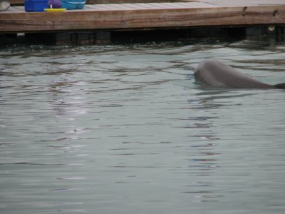 IMG_1799.JPG