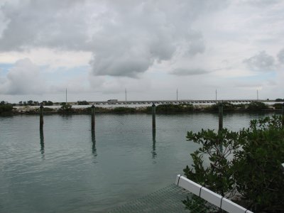 IMG_1808.JPG