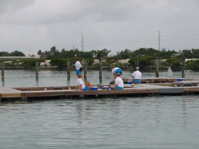 IMG_1809.JPG