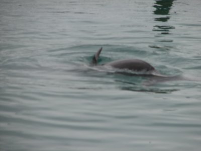 IMG_1810.JPG