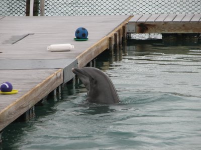 IMG_1813.JPG